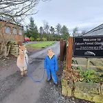 The Falcon Hotel Ravenscar