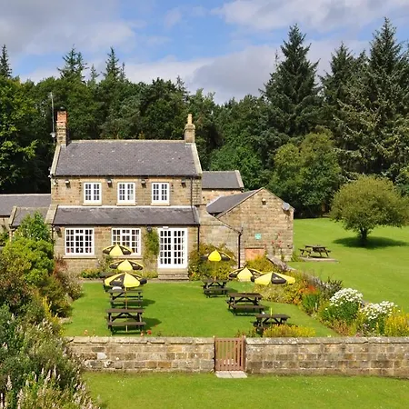 The Falcon 레이븐스카