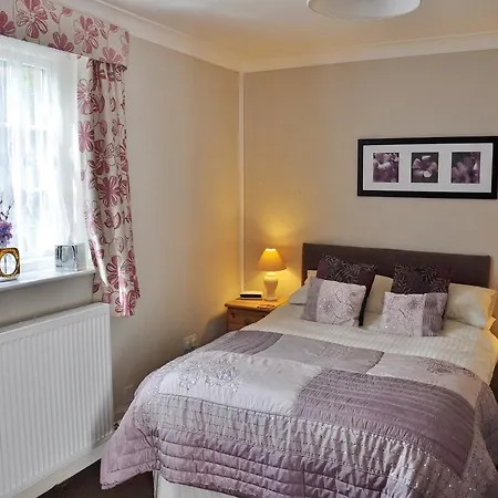 The Falcon 레이븐스카