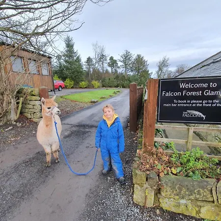 The Falcon 호텔 레이븐스카