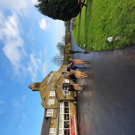 酒店 The Falcon 3*