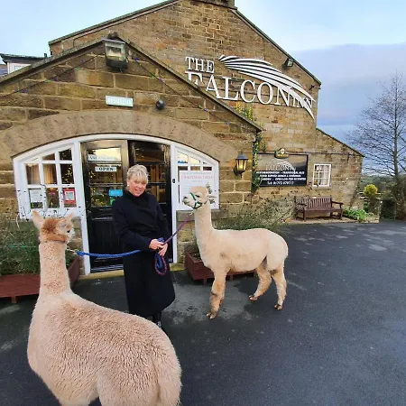 The Falcon 酒店 3*