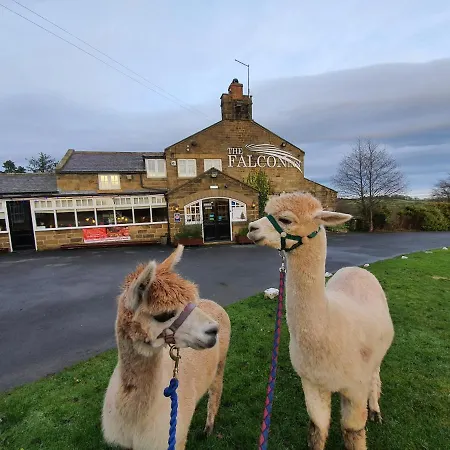 酒店 The Falcon 雷文斯卡
